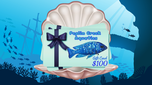 Peplin Creek Gift Card