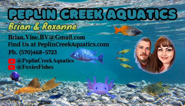 Peplin Creek Aquatics